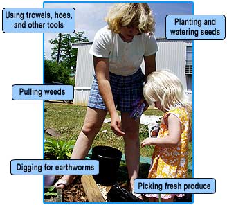 Planting Seedlings