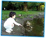 Picture of child feeding a duck