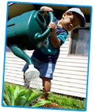 Picture of child using a watering can